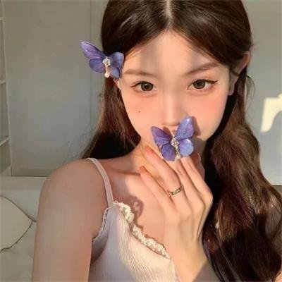 第28年的甲子园